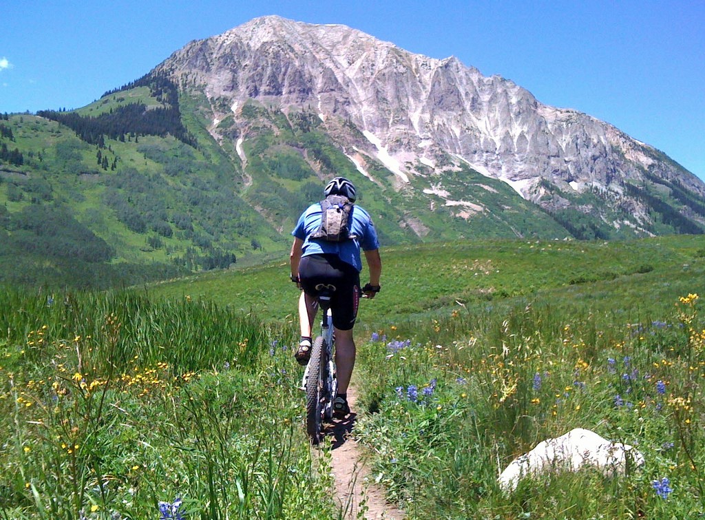 mountain biker on trail